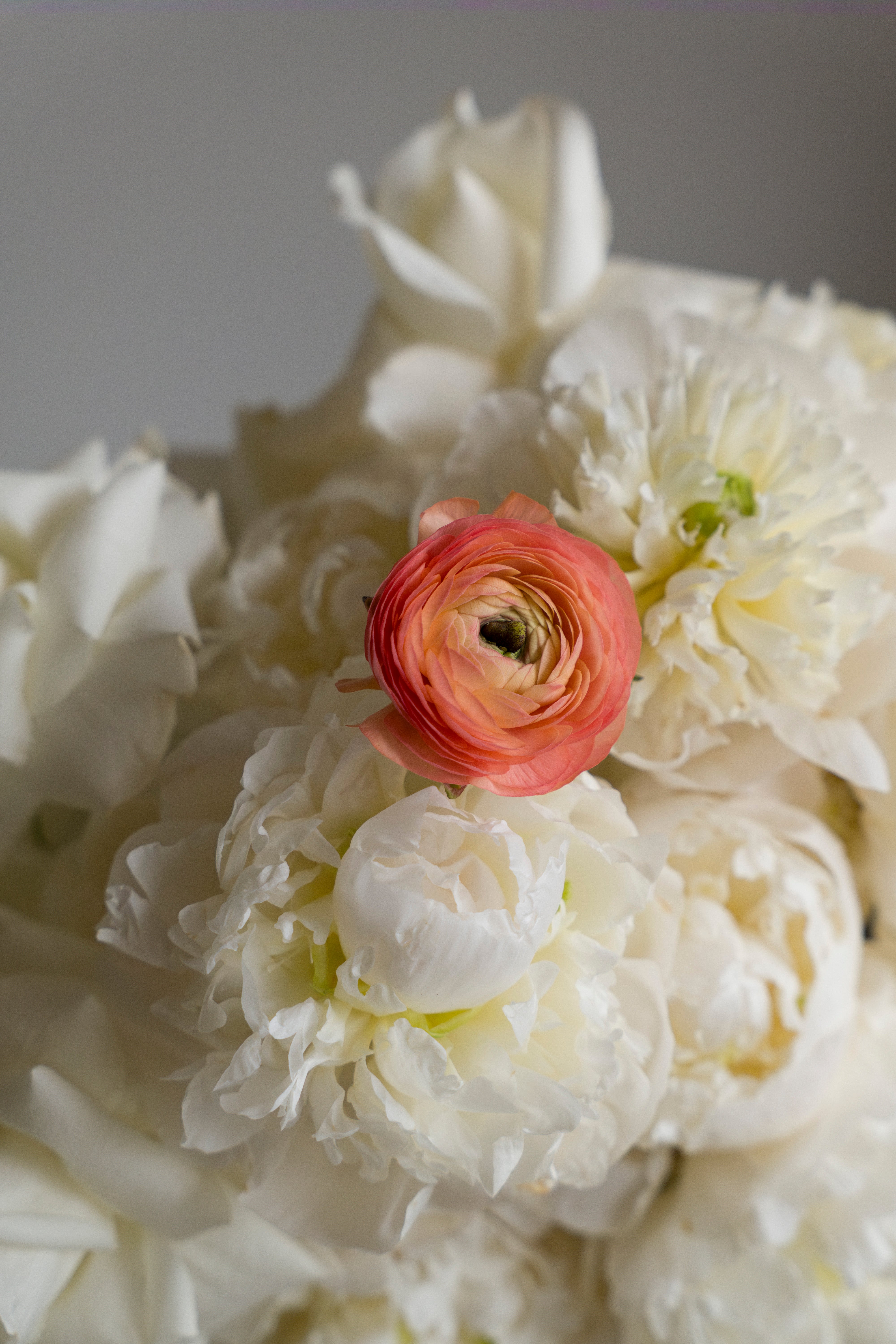 Center Of Attention Aranjmanı